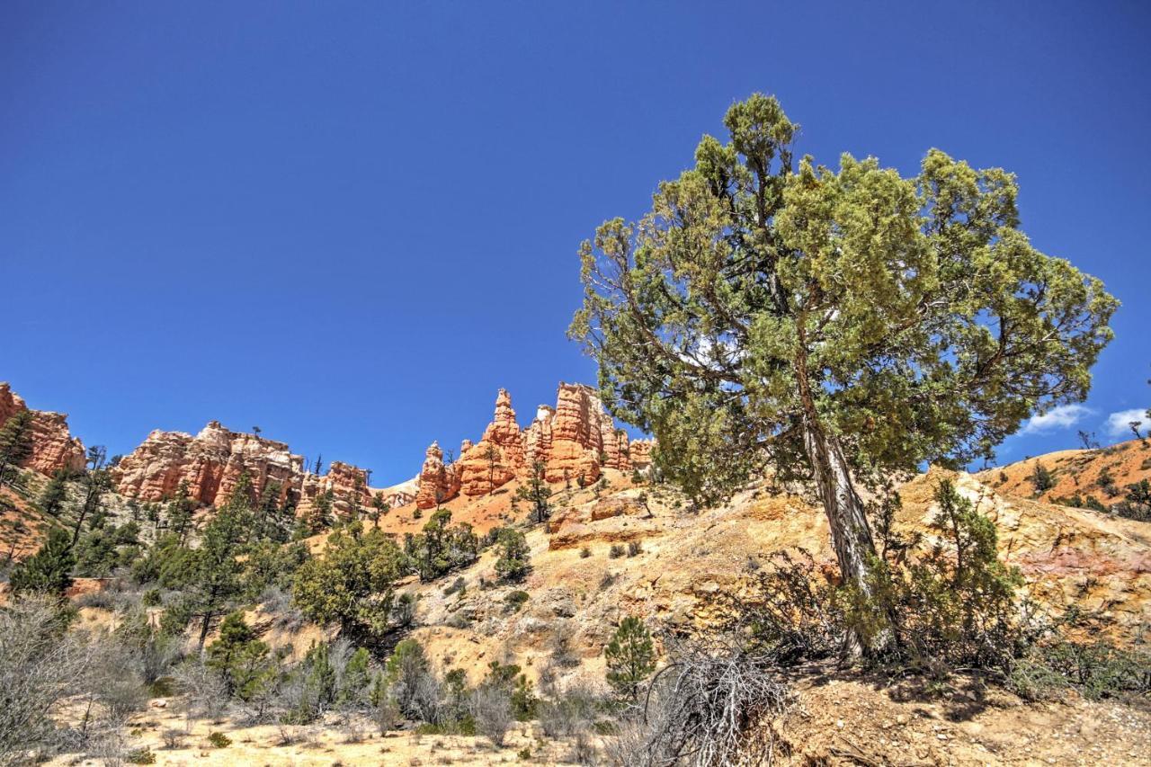 Bryce Canyon Area House With Mountain Views! Tropic Extérieur photo